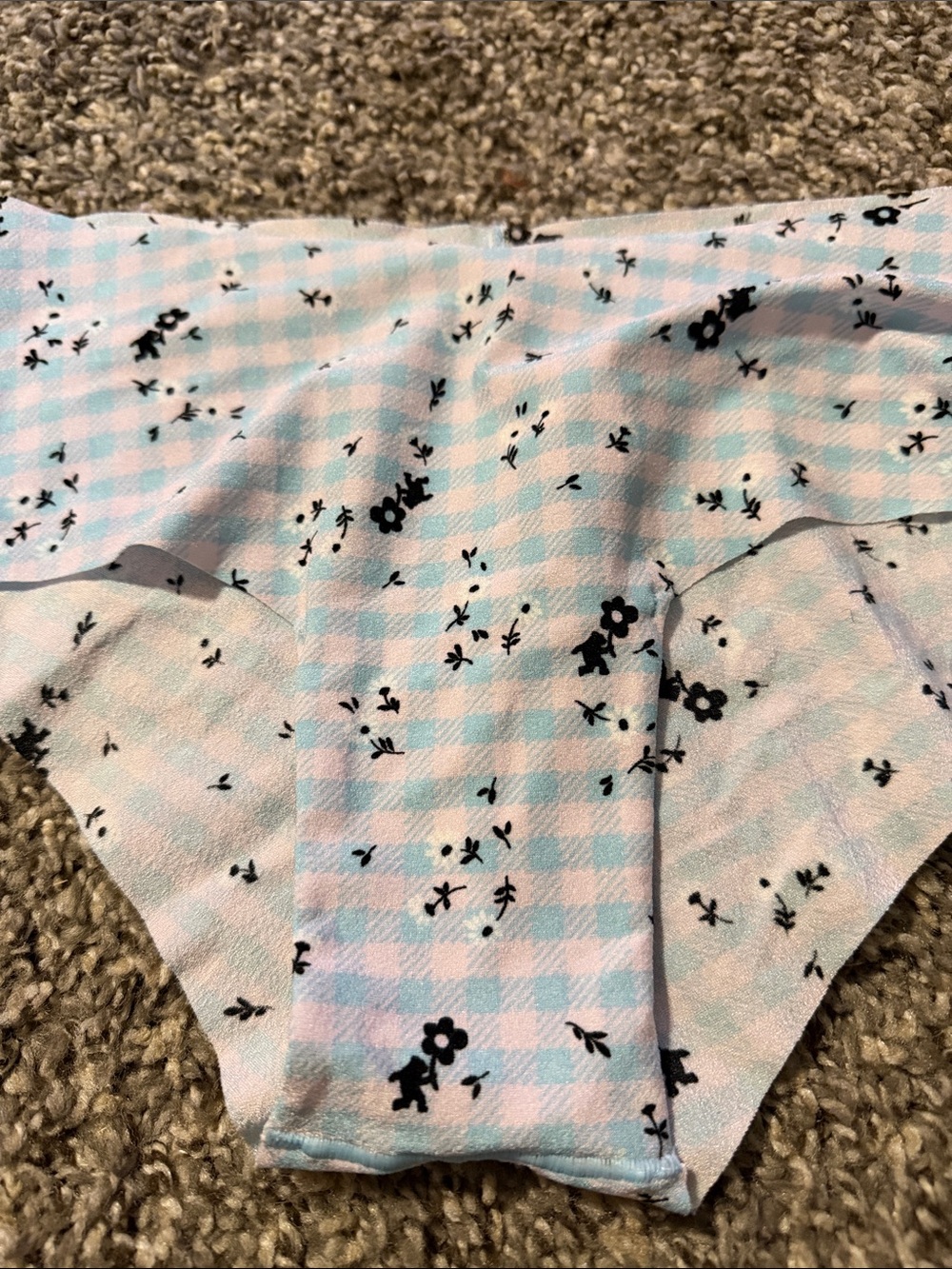 Victoria's Secret Light Blue & White Gingham Floral Hipster Panty